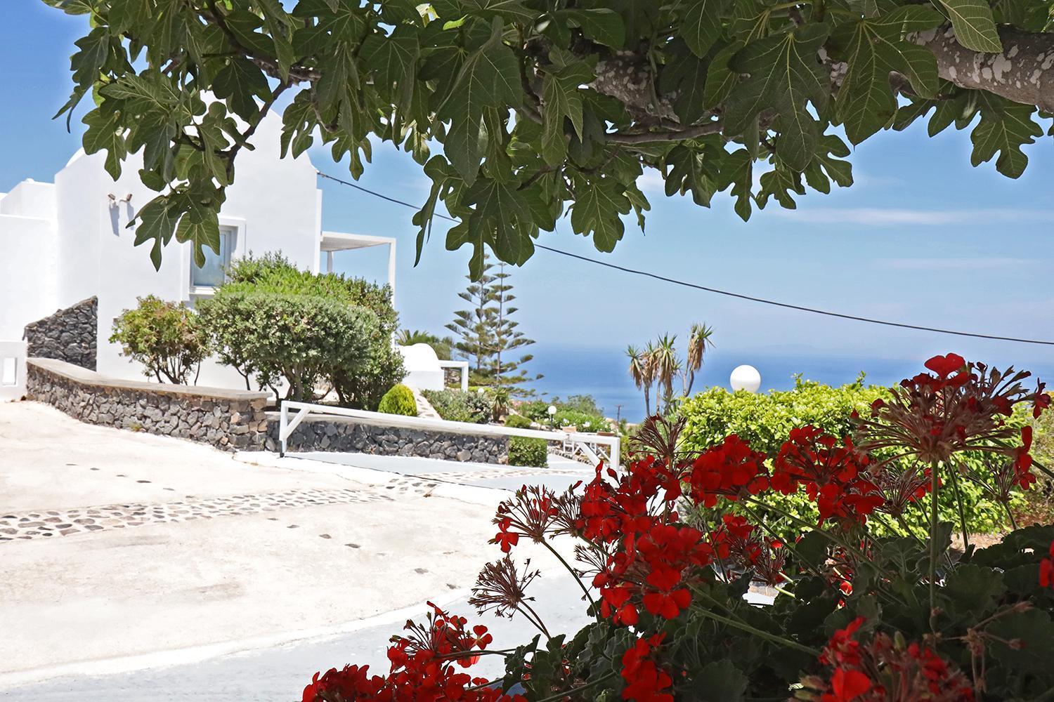 Phaos Santorini Suites Imerovígli Extérieur photo