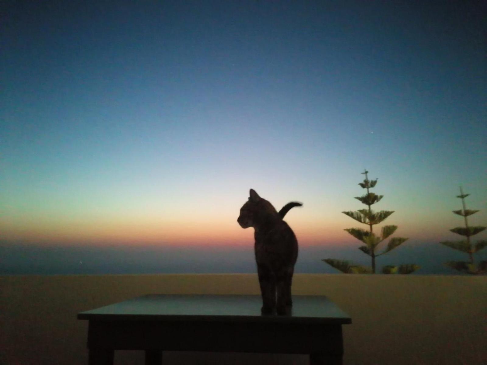 Phaos Santorini Suites Imerovígli Extérieur photo